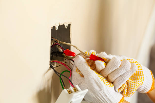 Best Surge Protection Installation  in Peotone, IL